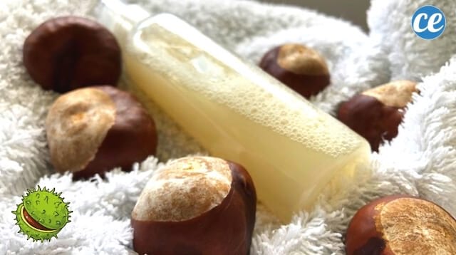 Un gel douche fait maison hydratant et naturel aux marrons