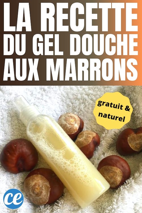 Un gel douche diy moussant et naturel et super hydratant aux marrons