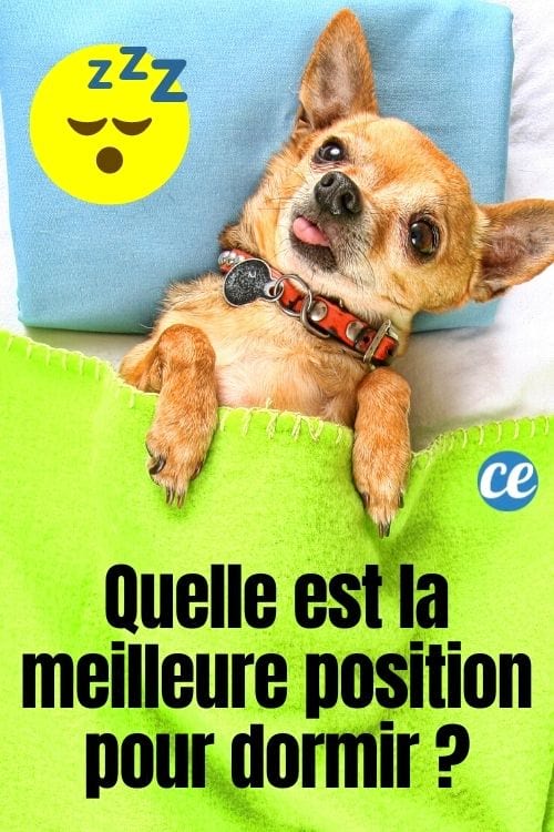 Quelle est la meilleure position pour dormir ?