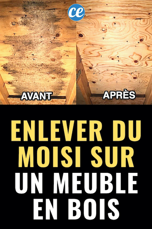 Comment Enlever de la Moisissure Sur un Meuble en Bois (Facile & Rapide).