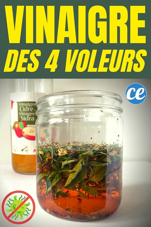 VINAIGRE DES 4 VOLEURS - Maison Saillard