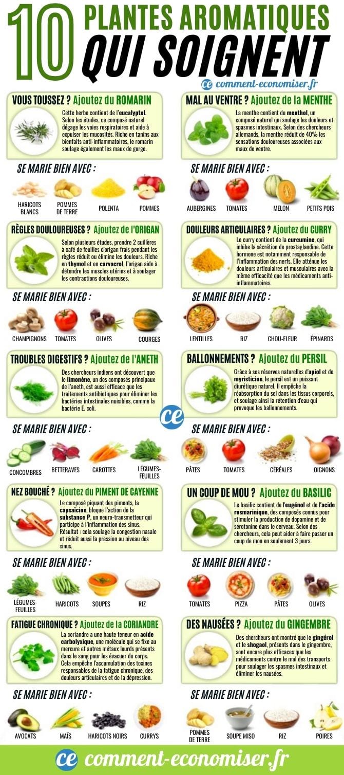 10 plantes aromatiques qui soignent : le guide facile.