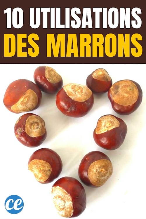 10 Utilisations Des Marrons Dont Vous Allez Forcement Tomber Amoureux