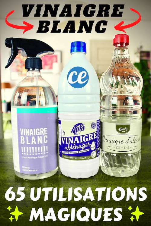 65 Pouvoirs Magiques du Vinaigre Blanc Que Personne Ne Connaît.