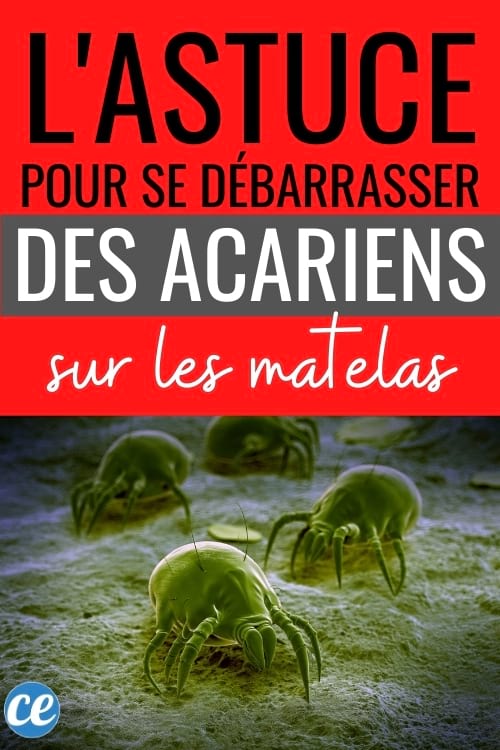 acariens sur matelas l'astuce naturelle pour les éliminer