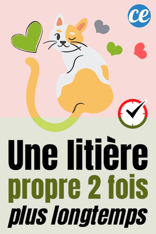 Comment Garder La Litière Propre et Sans Odeur 2 FOIS Plus Longtemps.