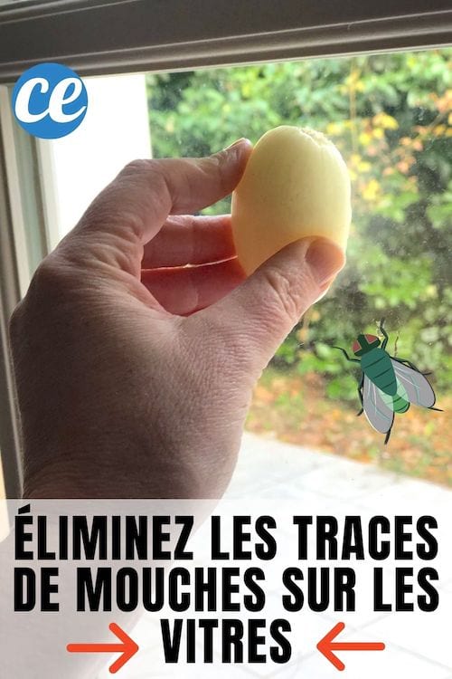 Une moitié d'oignon pour éliminer les traces de mouches sur les vitres