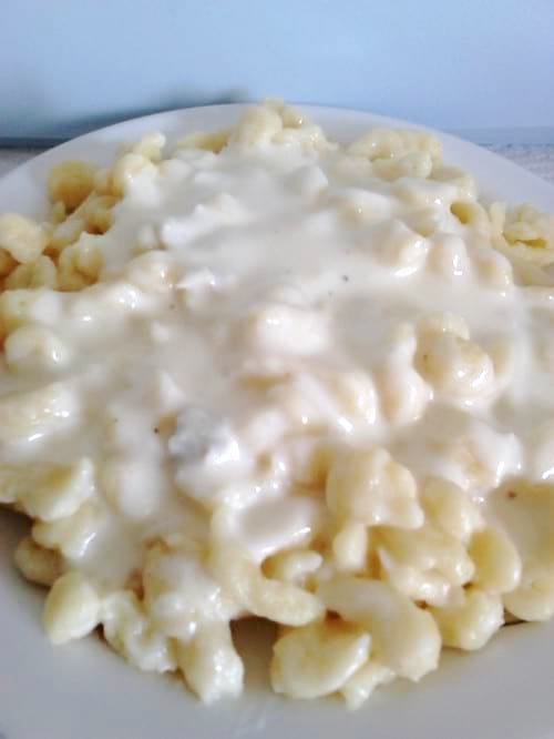 une assiette de coquillette avec une sauce au gorgonzola