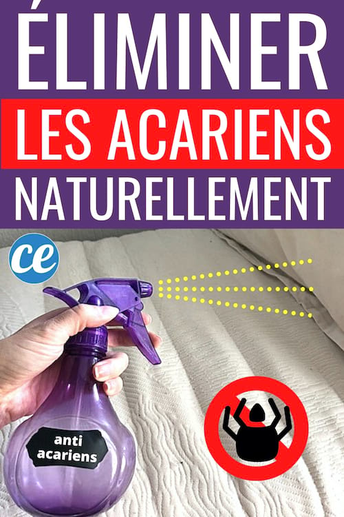 Le Spray Naturel Qui Élimine Les Acariens Sur Le Matelas.