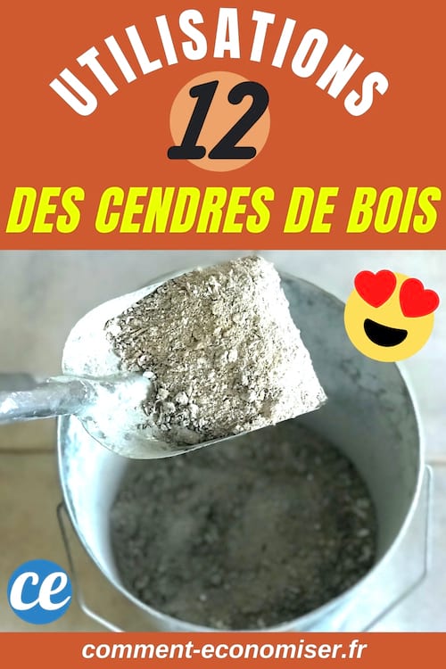 Une pelle et un seau en métal avec de la cendre de bois dedans