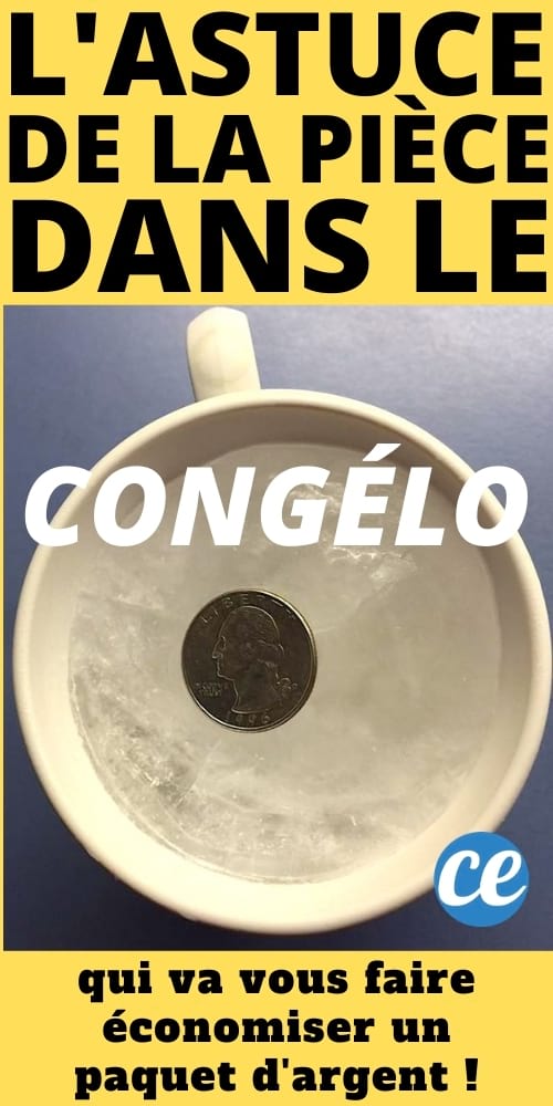 L'astuce de la pièce dans le congélateur pour savoir si vous