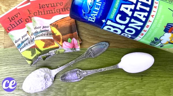 Peut-on substituer le bicarbonate à la levure chimique et inversement ?