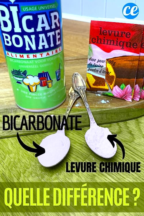 Bicarbonate de Soude et Levure Chimique Quelle Différence