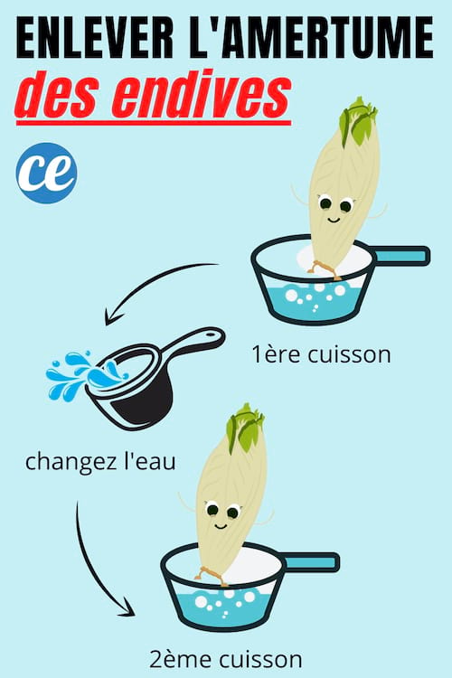 Endives Trop Ameres Le Truc Simplissime Pour Enlever L Amertume