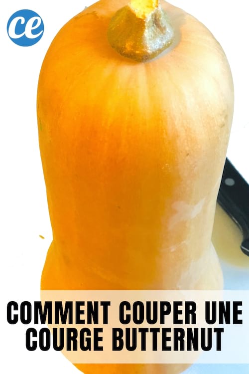 Courge butternut entière à éplucher et couper