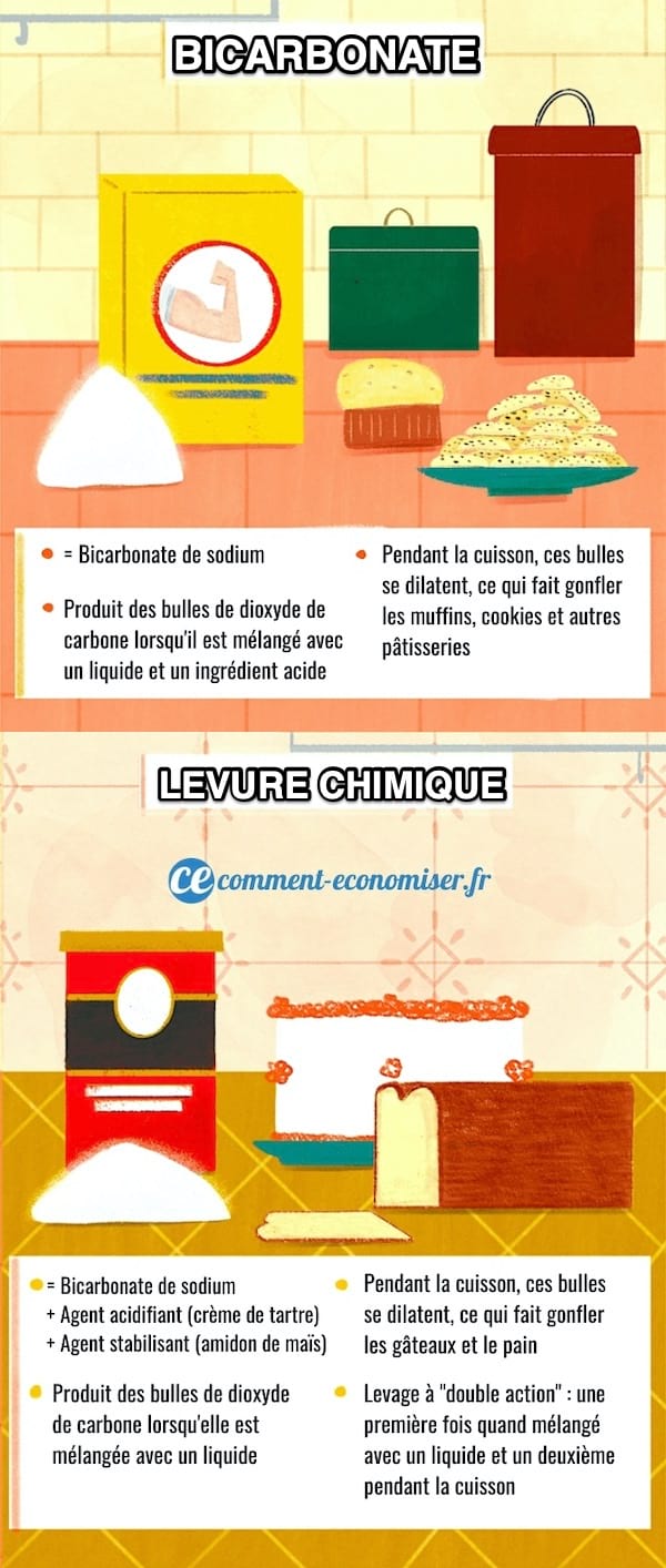 Quelles sont les différences entre le bicarbonate de soude et la levure chimique ?