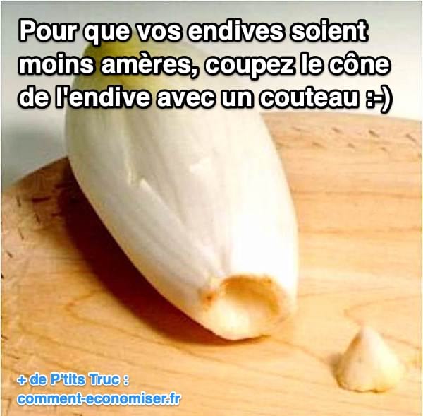 Une endive avec le pied coupé pour enlever l'amertume