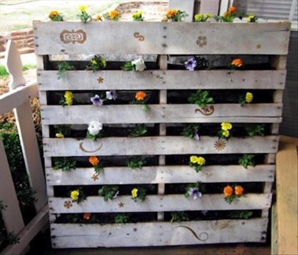 Plusieurs fleurs dans une palette