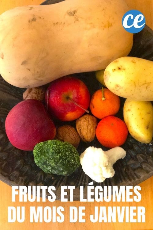 Une coupelle de fruits et légumes du mois de janvier : choux, courge, pomme, noix, clémentines, pommes de terre