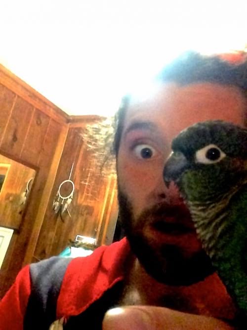 Un homme avec une vue d'oiseau