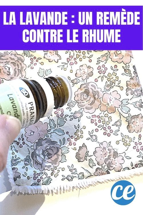 De l'huile essentielle de lavande comme remède contre un rhume
