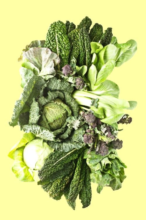 Manger des légumes à feuilles vertes renforcent les défenses immunitaires