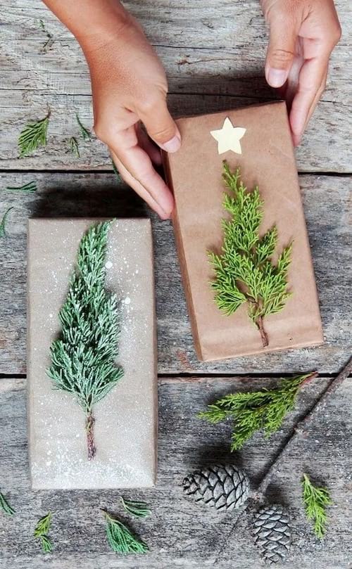 Minis sapin sur des emballages cadeaux