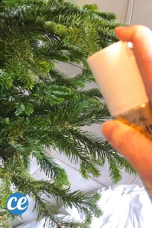 De la laque diffus&eacute;e sur les branches d'un sapin pour faire de la neige artificielle