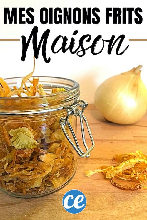 La recette maison facile et rapide des oignons frits bien croustillants