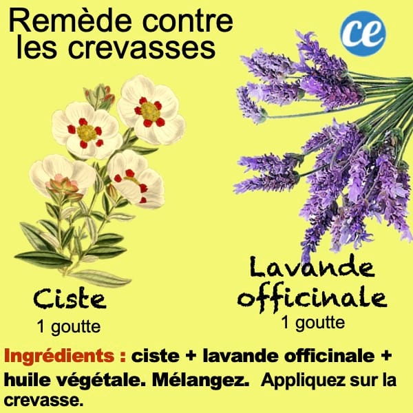recette de remède contre les crevasses aux huiles essentielle de ciste et lavande