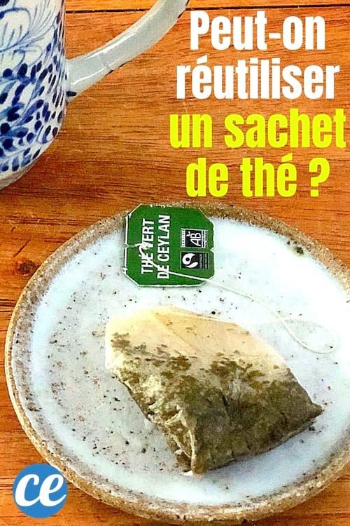 Peut-On VRAIMENT Utiliser un Sachet de Thé Plusieurs Fois ?