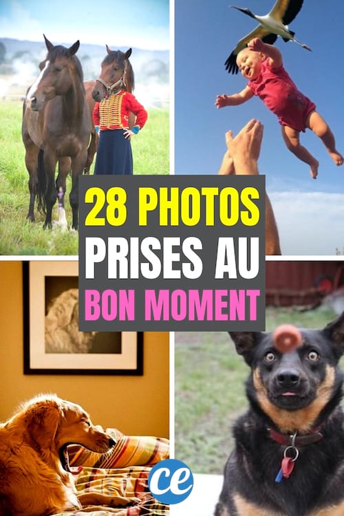 28 Photos Incroyables Prises Pile au Bon Moment.