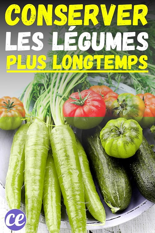 Des belles carottes et courgettes bien conservées grâce au vinaigre blanc
