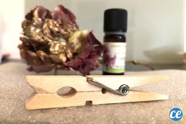 pince à linge en bois diffuseur de huiles essentielles