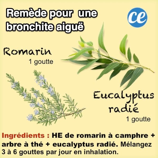 Remède aux huiles essentielles pour soulager une bronchite aiguë
