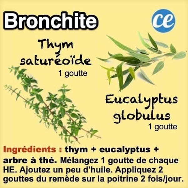 Remède naturel aux huiles essentielles contre la bronchite