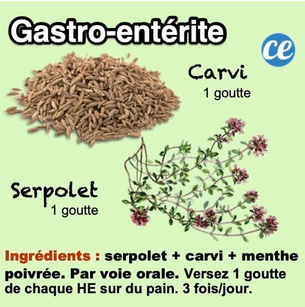 Remède aux huiles essentielles pour soigner rapidement la gastro