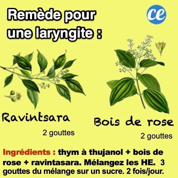 Remède naturel aux huiles essentielles pour soigner une laryngite