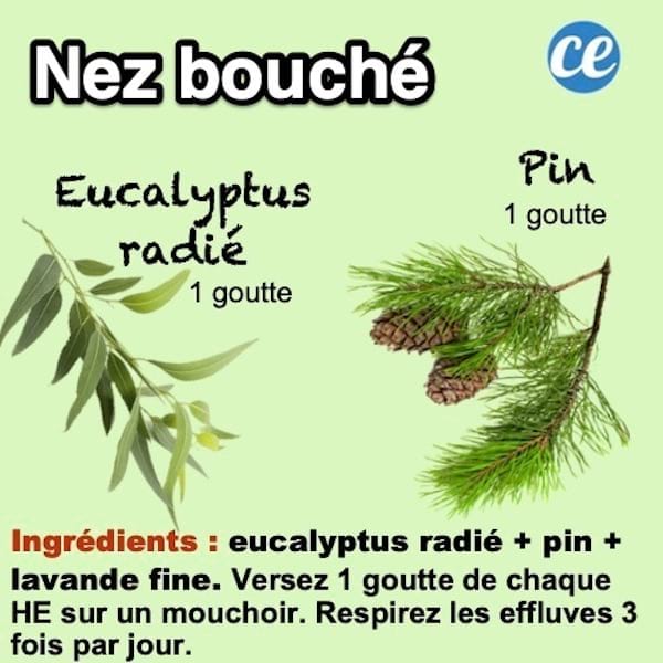 Remède aux huiles pour déboucher le nez bouché