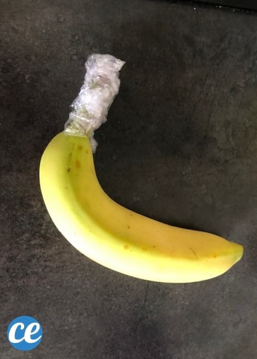 banane seule avec la tige enveloppée
