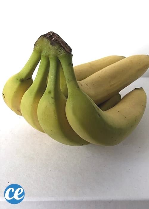 régime de banane verte