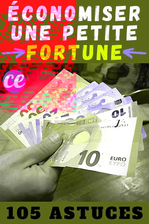105 Astuces Pour Économiser une Petite Fortune