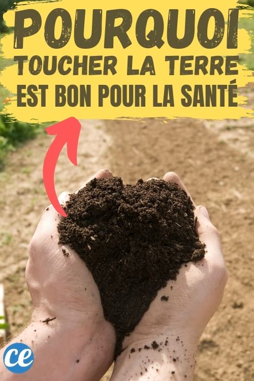 mettre les mains dans la terre diminue le stress