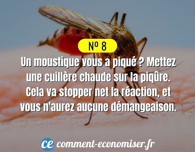 Astuce pour calmer une piqûre de moustique