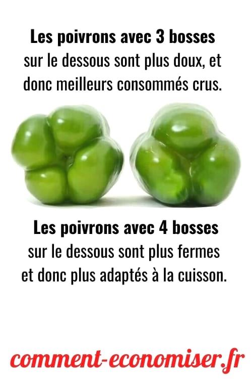 Les poivrons avec 3 bosses sur le dessous sont plus doux que ceux avec 4 bosses.