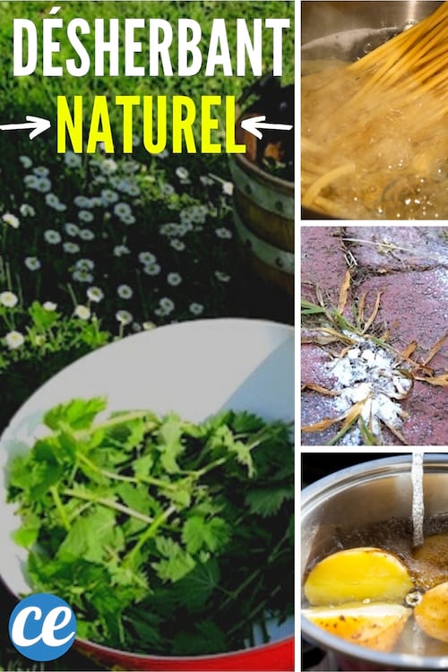 8 Astuces SANS Danger Contre les Mauvaises Herbes.