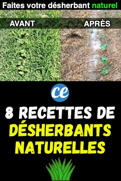 Un jardin avec plein de mauvaises herbes avant et sans après