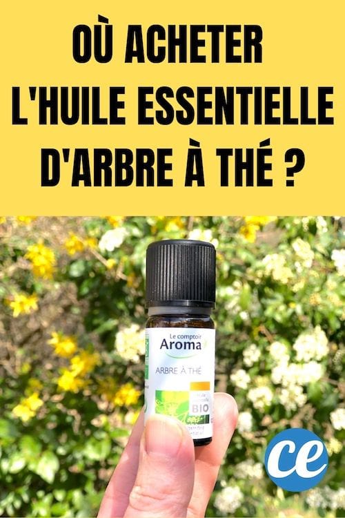 Où acheter l'huile essentielle d'arbre à thé
