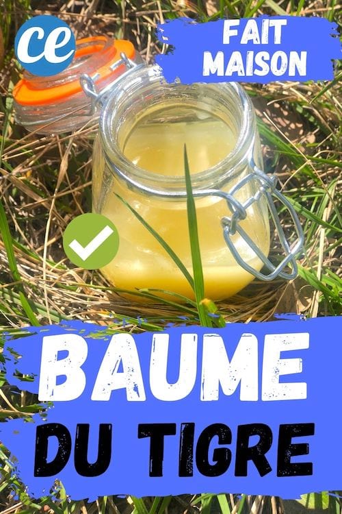 Un pot de baume du tigre fait maison posé sur l'herbe