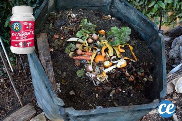 Du bicarbonate saupoudré sur un tas de compost pour éliminer les moucherons 